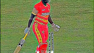 Cricket
