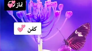 New Poetry