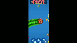 snake zone big