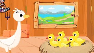 Five little ducks