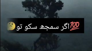 Best Urdu Shayari Status