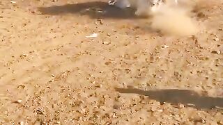 Bell fight