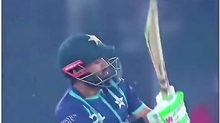 Cricket fans