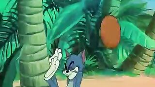 Tom and jerry funny cartoon