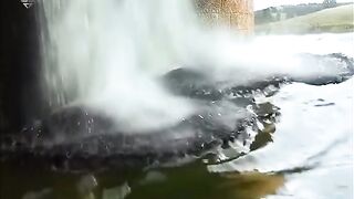 Action