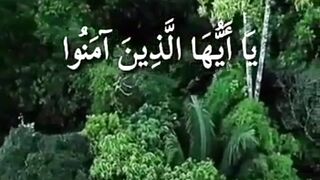 Tilawatequran
