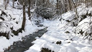 Beautiful sound snow fall ????????