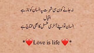 Love Poetry Status |Love is Life❤