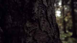 Best meditation to sleep and relax