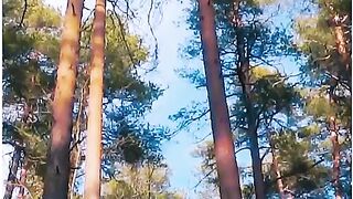 Sad video normal motion detection