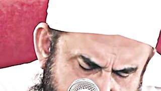 New videos