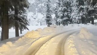 Beautiful snow