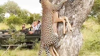 Amazing Hunting