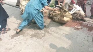 qurbani ka gosht