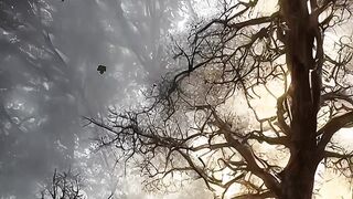 Beautiful