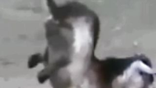 Beyshak Allah Har chez Karnay par qadir hay