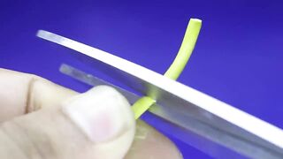 How To Make A Free Energy Experiment Light Bulb For Lifetime - Free Energy
