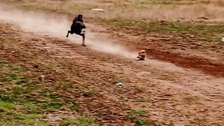 Village life dog race