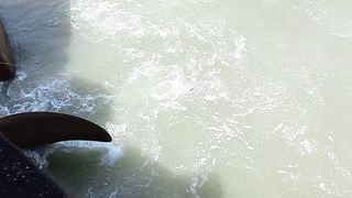 Fishing video/ Fishing at gadani point