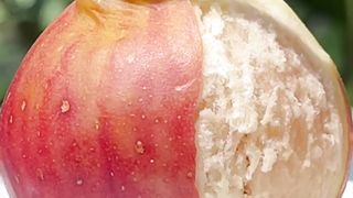 3-COLOR Lava Chocolate Cake Tastes So Yummy!???????? | Chef Cat Cooking #tiktok #Shorts