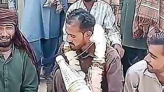 Funny videos 2023