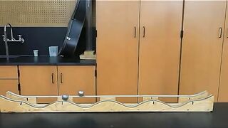 Funny video for entertainment