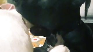 What's stuck there, let me help you.