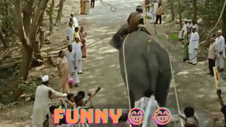Funny Road Roller