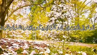 Surah un Nisa tilawat Quran pak ll New video 2023