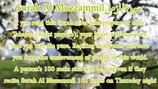 Tilawat e Quran Surah Al Muzzammil