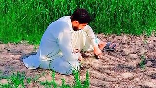 Dasti hai song