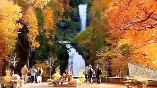 Switzerland beautiful nature | follow