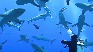 In side the ocean| Ocean is more beautiful