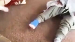 Very funny video,???????? baby and dogi #funny