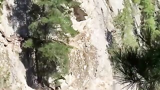 Jumping