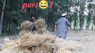 Comedy video 2023
