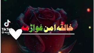 Islamic status whatsapp status new status whatsapp2023 new status