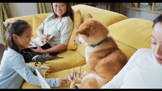 Funniest cute animal videos 2023 | Baby, pet videos