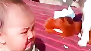 Cute baby same voice animal