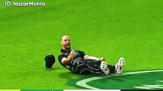 Cricket fans