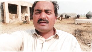 Epi 53 | Poetry Videos | Jo Shakhs Tumhain Sajdon me mangy | #poetry #fasibodla786