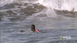 Underwater Killers (Full Episode) - World's Deadliest.