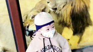 Funny videos