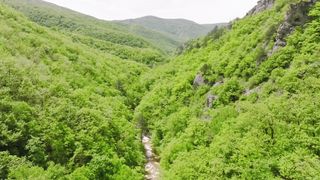 Украинские Карпаты