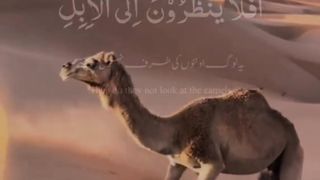 Quran Verses Status | The Door Of Islam