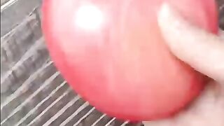 apple painnting on stone