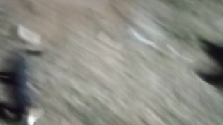 Mostly viral Kuta dog  viral ???? dog