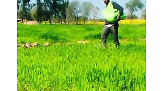 New video work in farmer