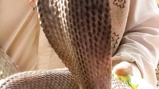 My videos best for snacks
