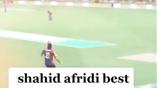 Cricket ????